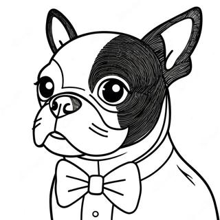 Raskraska Bostonskogo Terera V Galstuke 105641-43203