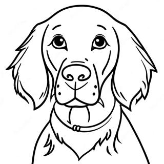 Raskraska Milogo Irlandskogo Settera 10707-273