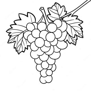Raskraska Vinograda 107793-44870