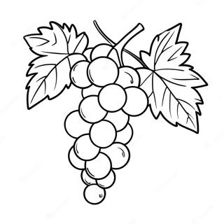 Raskraska Vinograda 107793-44871