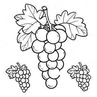 Raskraska Vinograda 107793-44872