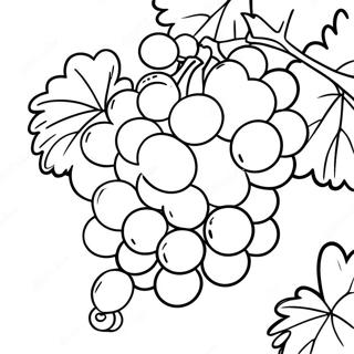 Raskraska Sochnogo Fioletovogo Vinograda 107794-44874