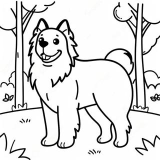 Schastlivaia Avstraliiskaia Ovcharka V Parke Raskraska 110884 47346