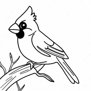 Raskraska Realistichnoi Ptitsy Kardinala 118373-53462