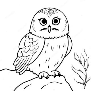 Ocharovatelnaia Snezhnaia Sova Raskraska 123432 57745