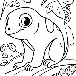 Raskraska Zhivotnykh Tropicheskogo Lesa Kosta Riki 127065-60649