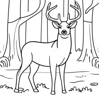 Raskraska Velichestvennogo Samtsa Olenia V Lesu 131230 64012