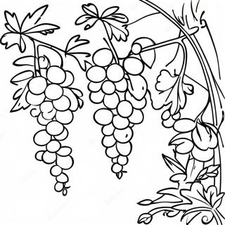 Raskraska Vinograda 138617-69909