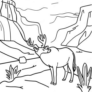 Dikaia Priroda Bolshogo Kanona Raskraska 138774-70046