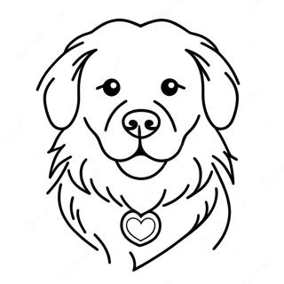 Pukhlyi Zolotistyi Retriver Raskraska 1901 2154