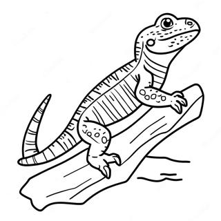 Velichestvennyi Borodatyi Drakon Na Brevne Raskraska 48618-10647