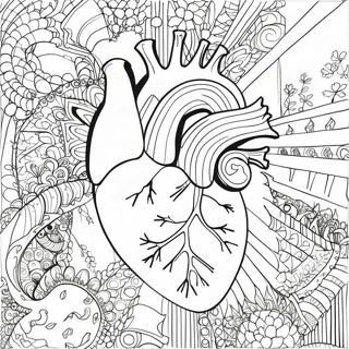 Raskraska Podrobnoi Anatomii Serdtsa 76806-19592