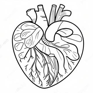Raskraska Tsvetnoi Diagrammy Anatomii Serdtsa 76807-19593