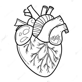 Raskraska Realistichnoi Anatomii Serdtsa 76808-19597