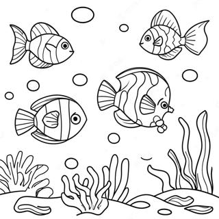 Точка Раскраски