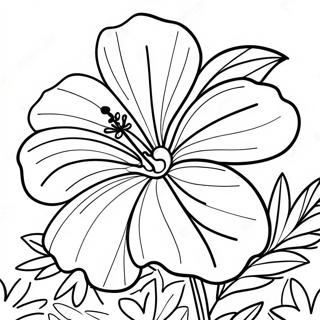 Raskraska Bolshogo Tsvetka Gibiskusa 83395 24716