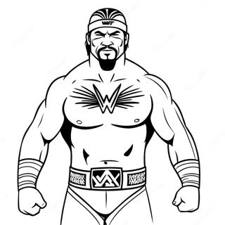 Raskraska Wwe 91121-30974