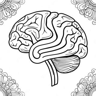 Raskraska Tsvetnoi Anatomii Mozga 94308-33531