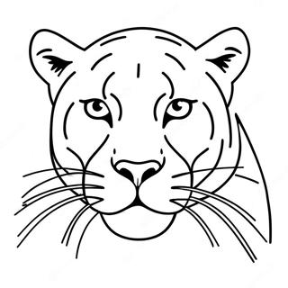 Raskraska Puma 98880-37615