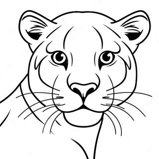 Raskraska Puma 98880-37616