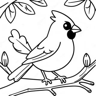 Raskraska Krasivogo Kardinala Sidiashchego Na Vetke 99625-38391